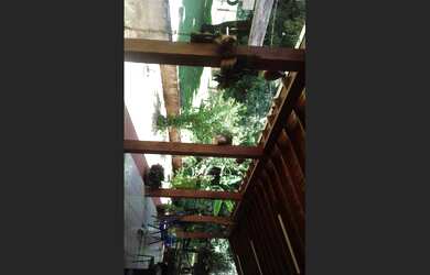 Imagem 7: CHÁCARA DENTRO DA CIDADE