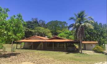 Imagem 5: Sitio 3 ha – localidade São Feliz, Teresina-Pi