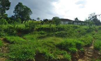 Imagem 7: Sitio no Bairro Cristal