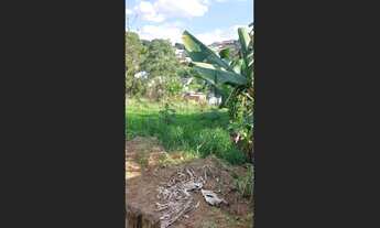 Imagem 6: Lotes com 250 m²