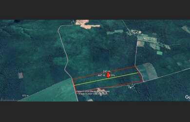 Imagem 2: Terreno 20 ha em Altos