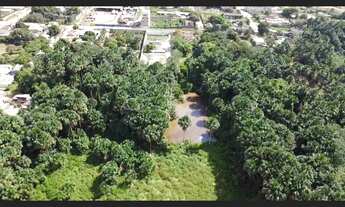 Imagem 3: Área para investimento, em Santarém-pará