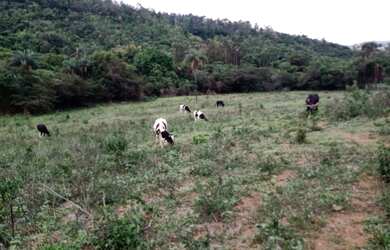 Imagem 2: Terreno de 8 há em Itaguara MG