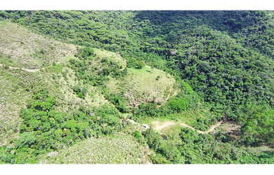 Imagem 7: Fazenda em Santa Barbara do Monte Verde MG