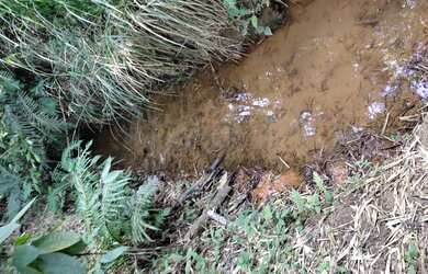 Imagem 4: Terreno de 20 há em São Tiago MG