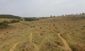 Imagem 2: Fazenda de 130 ha em Oliveira