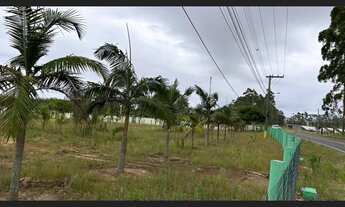 Imagem 4: Faxinalzinho balneário Rincão