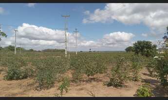 Imagem 7: Vende- se Fazenda / sítio com venda por R$60.000