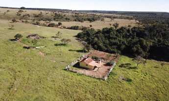 Imagem 4: Fazenda a venda no Triângulo Mineiro, aceita 50% em imóveis em Uberlândia
