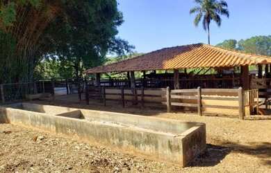 Imagem 5: Fazenda de 19 ha em Caetanópolis