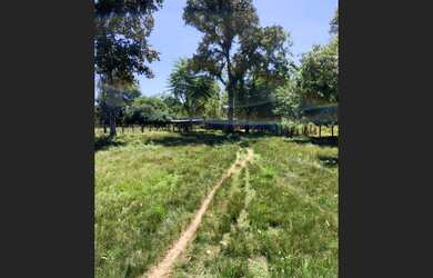 Imagem 4: Maravilhosa Area de Terra 13 Hectares em Nova Santa Rita Canoas, RS