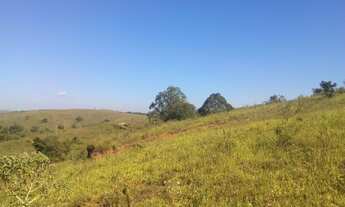 Imagem 5: FAZENDA DE 164,5 HECTARES