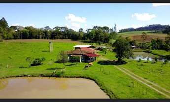 Imagem 4: Sítio com Casa à Venda em Aurora SC em Nova Itália