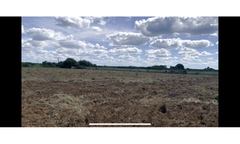 Imagem 3: Lote agrícola de 3,31 escriturado Bebedouro Petrolina