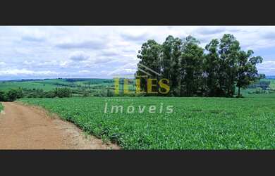 Imagem 4: Vende-se Sitio de 1.8 alq paulista em Jesuitas PR