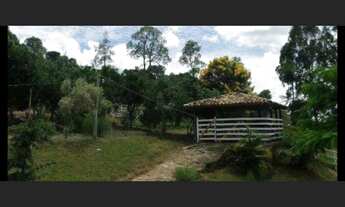 Imagem 6: Fazendinha de 18 há em Passa Tempo MG