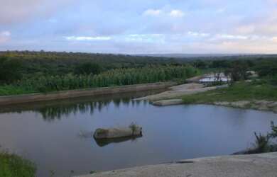 Imagem 7: ????Sitio a Venda no Sitio Bravo, municipio de Pocinhos.????????????????????