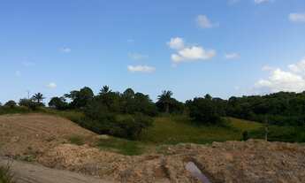 Imagem 5: ÀREA AS MARGENS DA PE-60 AO LADO DO PORTO DE SUAPE