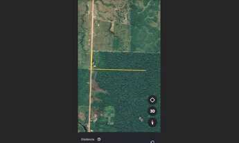 Imagem 3: 2 Lotes de frente a BR 319 à 80 km de Humaitá 15 km antes de Realidade