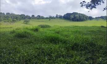 Imagem 2: Terreno de 8 há em Itaguara MG