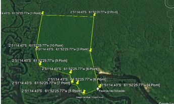 Imagem 3: Área de Manejo Florestal com 390 hectares em Manacapuru-Amazonas