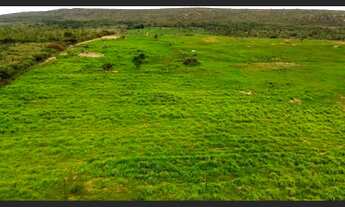 Imagem 2: Vende-se Terreno em Caldeirão Grande - 15.000m²