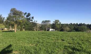 Imagem 2: TERRENO Terreno / lote com venda por R$325.000.000