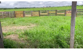 Imagem 5: 238 Alqs Ótima Água Terra e Logística Região Itacajá TO