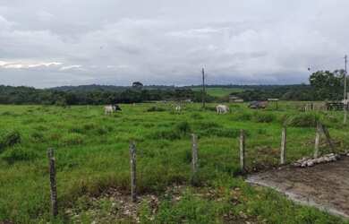 Imagem 8: R$ 5 milhões fazenda de 200 alqueires com 154 alqueires de pasto