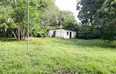 Imagem 5: Vendo Sítio em Ilheus-Ba