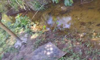 Imagem 6: Casa em reforma com terreno em Imbassaí - Nascente natural e árvores frutíferas