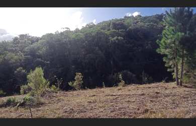 Imagem 3: Lote 2Ha na Maciel