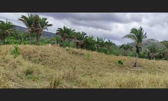 Imagem 6: Fazenda com 1.162 Hectares, com 500 Hectares aberta e formada, Chapada dos Guimaraes
