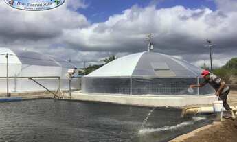 Imagem: Fazenda Camarão - Hiper-intensivo OverLap