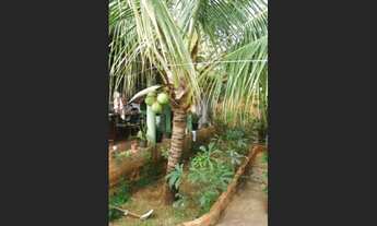 Imagem: Perto da nova Basílica e UEG venda ou troca