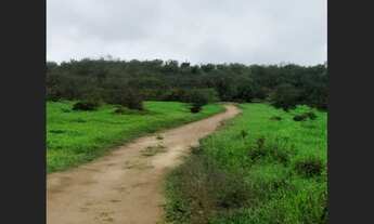 Imagem: Amplo terreno de 19.500 m² na rota de crescimento