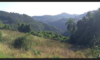 Imagem 7: Excelente Área De Terras em Santa Maria Do Herval (40 Hectares