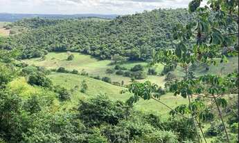 Imagem 2: Fazenda em Teodoro Sampaio