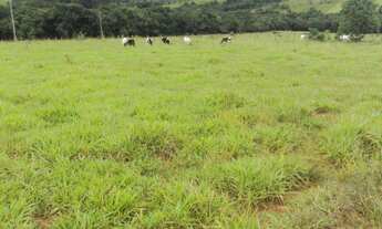 Imagem 5: Sítio 12,309 alqueires por R$ 1.100.000 - Zona Rural - Jacui/MG