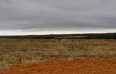 Imagem 5: 300 Alqs Plantando Ótima Logística Região Palmas TO