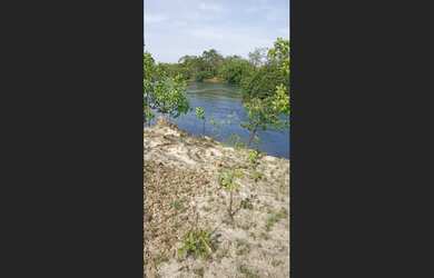 Imagem 3: 138 Alqs Plana Solo Vermelho Região Dianópolis TO