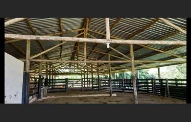 Imagem 5: Fazenda de 194 há em Carmopolis de Minas MG