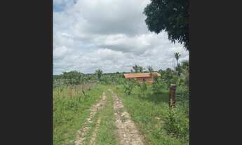 Imagem 3: LOTEAMENTO EM NAZARIA