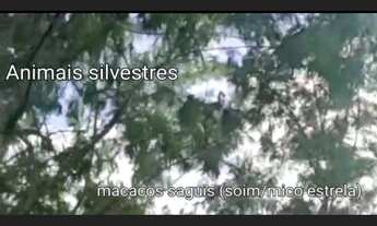 Imagem 5: Fazenda Frios Fazenda / sítio com venda por R$550.000