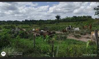 Imagem 2: 200 Hectares pronta e documentada fica no sentido Capanema