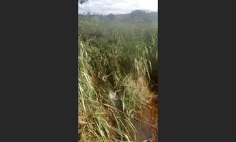 Imagem 7: Terreno de 10 há em Oliveira MG