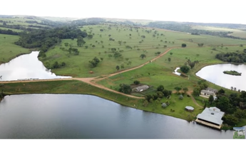 Imagem 11: FAZENDA EM BELA VISTA DE GOIÁS, COM 2013,44 HECTARES