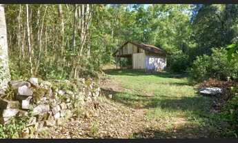 Imagem 6: Chácara em Nova Petrópolis com 6 hectares