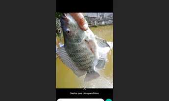 Imagem: Chácara com piscina