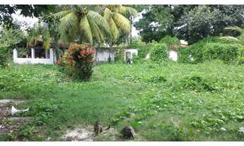 Imagem 6: Casa com terreno e 2.000m² em Barra de Jangada